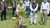 দেশের বনভূমির পরিমাণ ২৫ শতাংশে উন্নীত করার লক্ষ্য পুনর্ব্যক্ত প্রধানমন্ত্রীর