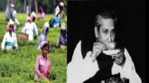 চা শিল্পের উন্নয়নে বঙ্গবন্ধুর অবদান ও বর্তমান সরকারের উদ্যোগ