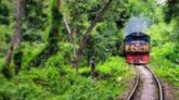 বেদখল সংরক্ষিত বনভূমি উদ্ধারে মাঠে নামছে সরকার