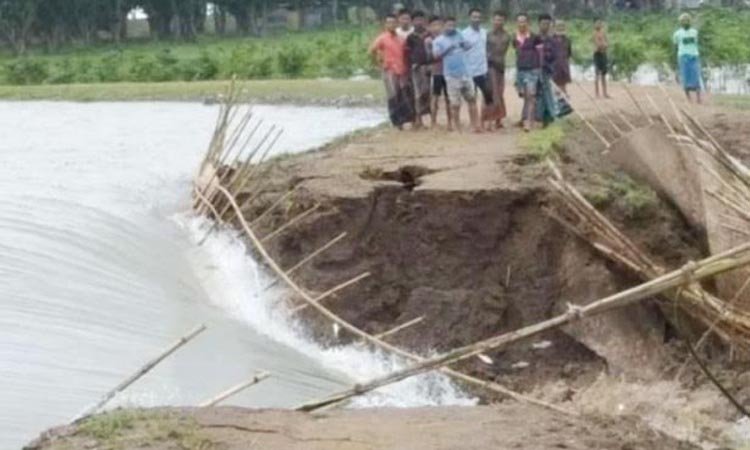 পাহাড়ি ঢলে সুনামগঞ্জের বিভিন্ন হাওরে পানি ঢুকছে, উদ্বিঘ্ন কৃষকরা
