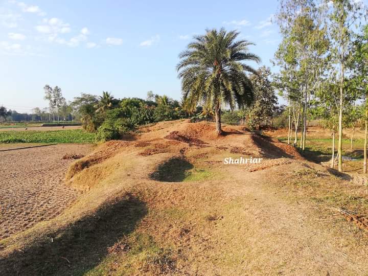 মঙ্গলকোট ও নাগদেবীর মস্তক