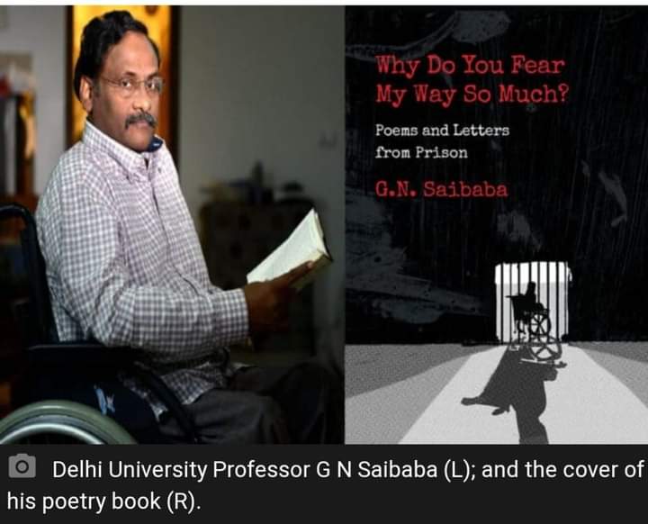 যাবজ্জীবন সাজাপ্রাপ্ত সাইবাবা ইংরেজি সাহিত্যের অধ্যাপক, অথচ জানেন না অপরাধ কী?