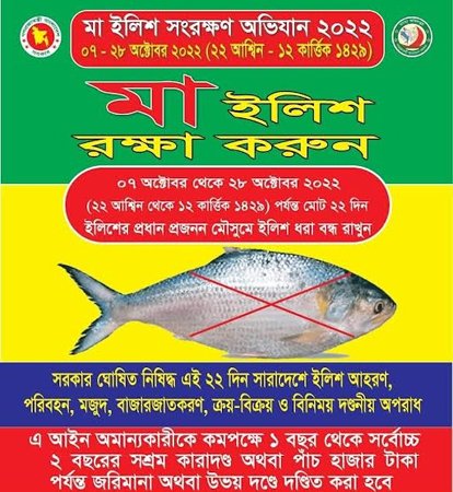‘মা ইলিশ সংরক্ষণ অভিযান’ সফল করতে চলছে প্রচার-প্রচারণা