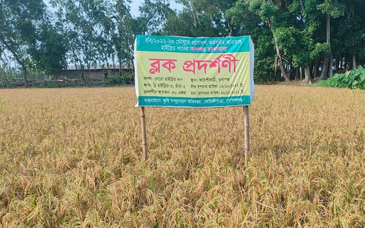 সমলয় চাষাবাদে ধানের উৎপাদন খরচ বিঘায় ১২ হাজার টাকা সাশ্রয়
