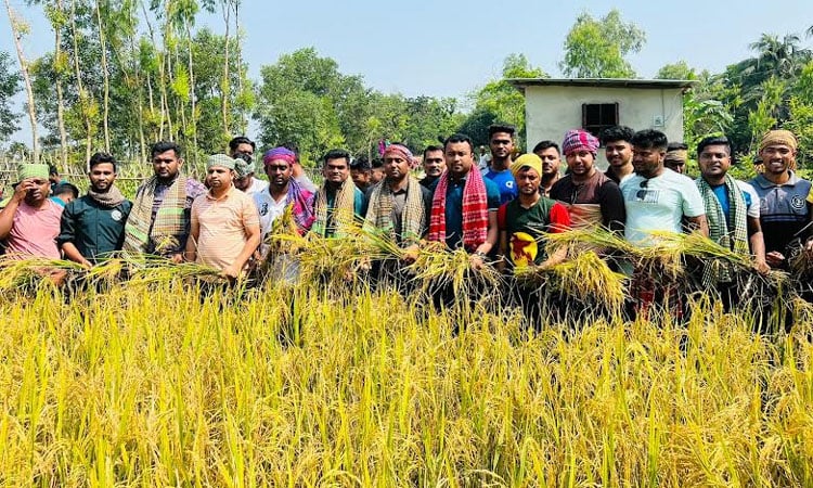 কৃষকের পাশে ছাত্রলীগ