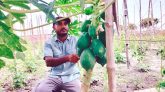 বিলে কৃষি খামার : বদলে গেলো তরুণ উদ্যোক্তা স্বপনের ভাগ্য