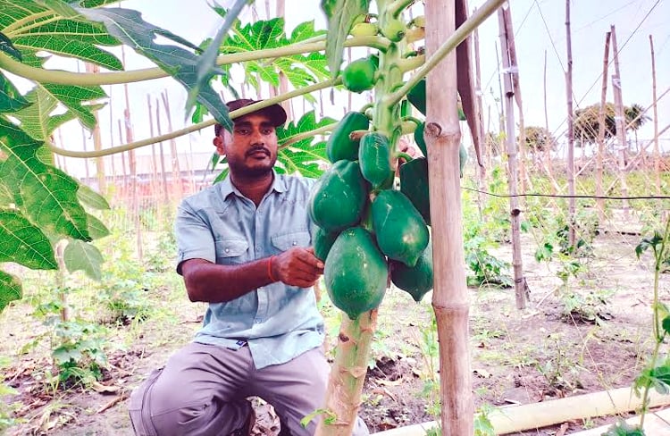 বিলে কৃষি খামার : বদলে গেলো তরুণ উদ্যোক্তা স্বপনের ভাগ্য