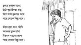 পাছে লোকে কিছু বলে