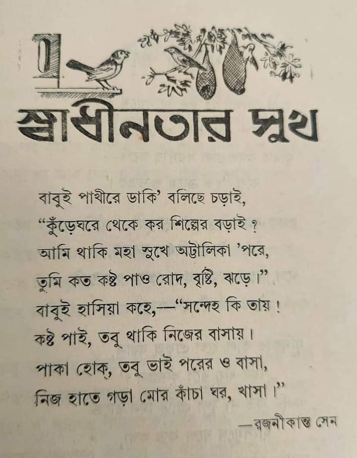 স্বাধীনতার সুখ