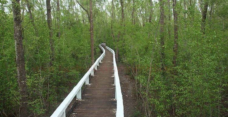 প্রাকৃতিক সৌন্দর্যে ভরা চরগুলো