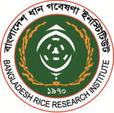 স্বাধীনতার পর থেকে দেশে ১১৩ জাতের ধান উদ্ভাবন, গত ১৪ বছরে ৬৩ জাত