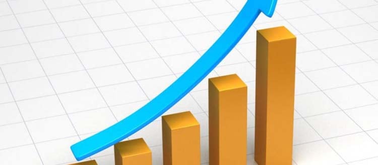 মাথাপিছু আয় উল্লেখযোগ্য হারে বেড়েছে