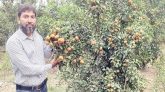 কমলা চাষে প্রভাষক সেলিম রেজার সাফল্য