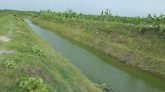 বারনই নদীর রাবার ড্যাম যেন এখন রাজশাহীর কৃষকদের আশীর্বাদ