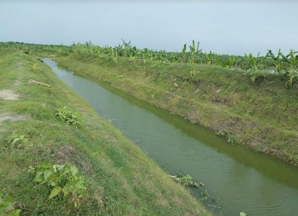 বারনই নদীর রাবার ড্যাম যেন এখন রাজশাহীর কৃষকদের আশীর্বাদ