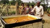 খেজুরের রস ও চাটি গুড়ের অপার সম্ভাবনা