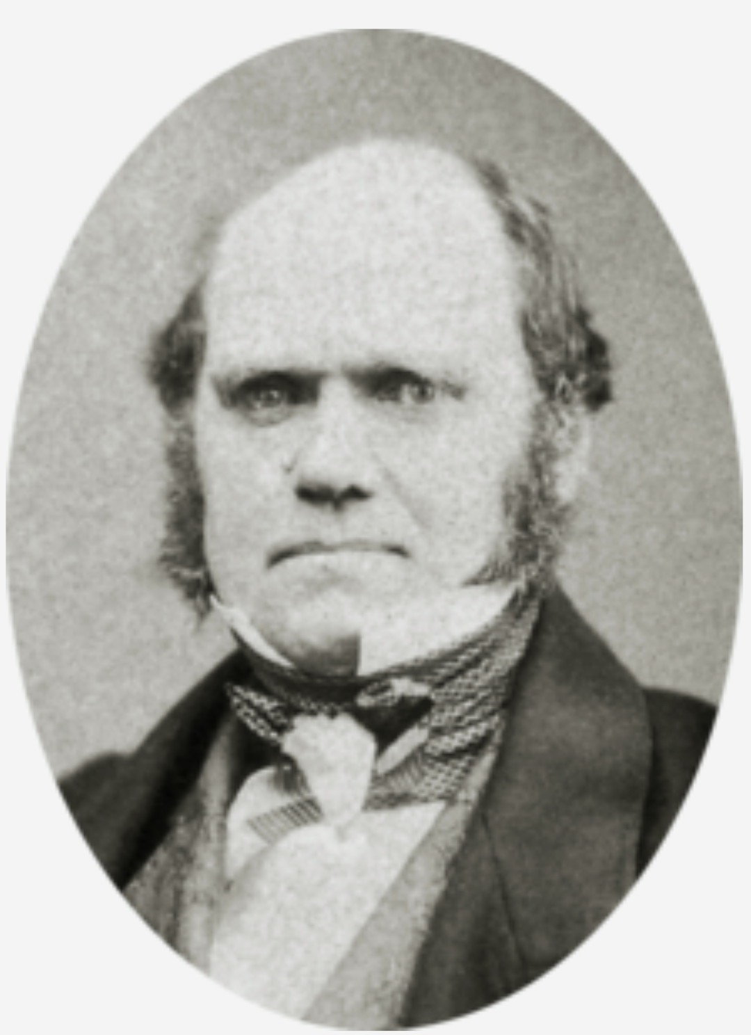 সভ্যতা পাল্টে দেয়া জীববিজ্ঞানী চার্লস ডারউইনের ১৪২তম মৃত্যুবার্ষিকী আজ