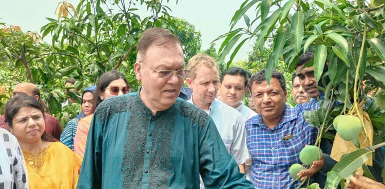 আম নিয়ে সিন্ডিকেট হতে দেয়া হবে না: কৃষিমন্ত্রী