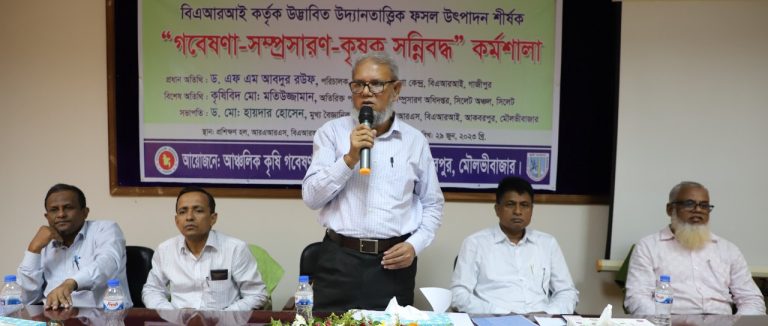 আকবরপুরে উদ্যানতাত্ত্বিক ফসল উৎপাদন শীর্ষক কর্মশালা