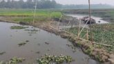 ডাকাতিয়া নদীতে বাঁধ দিয়ে মাছ শিকার: পানি সংকটে হাজারো কৃষক