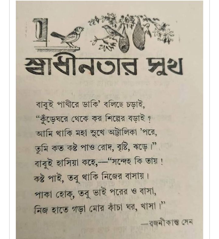 স্বাধীনতার সুখ