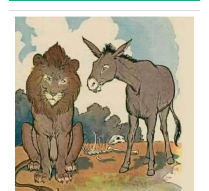 গাধাকে কখনোই উঁচুতে নিয়ে যেতে নেই!