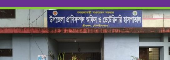 শ্রীমঙ্গলে উপজেলা প্রাণিসম্পদ কর্মকর্তার অফিসে আবেদন করে ৩ মাসেও মিলেনি তথ্য