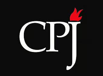 প্রথম আলো ও ডেইলি স্টারে হামলায় সিপিজের উদ্বেগ, সৈয়দ আমিরুজ্জামানের তীব্র নিন্দা