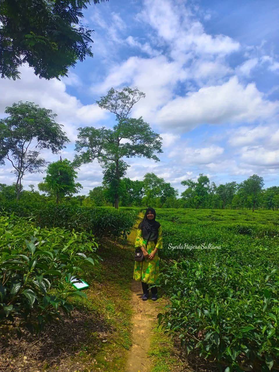 বেগুনি দেখলেই