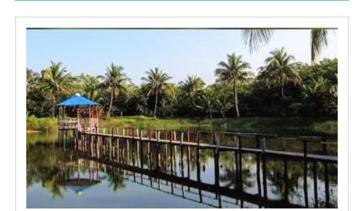 সুন্দরবন প্রকৃতির অপার সৌন্দর্যের লীলাভূমি