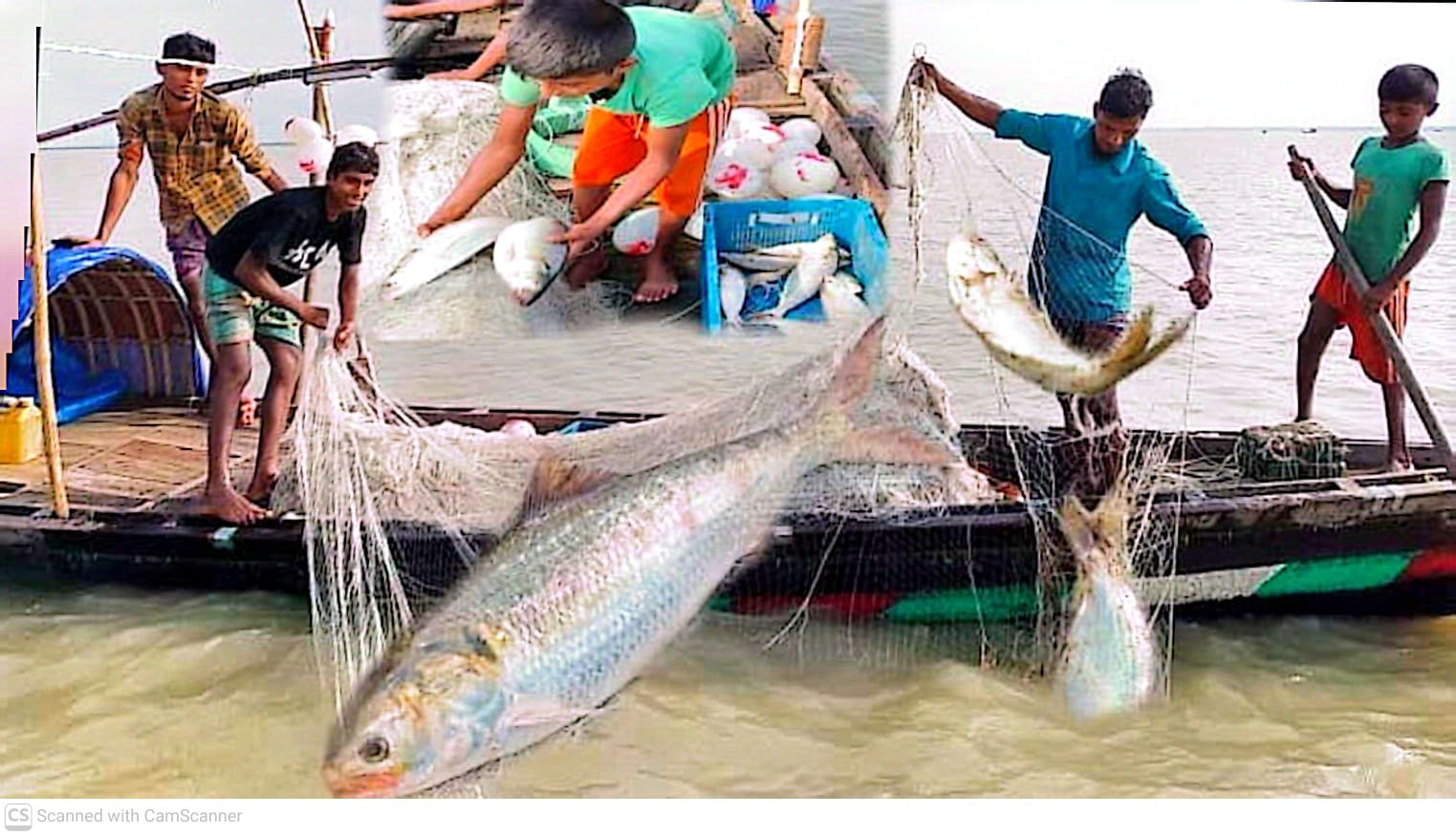 মার্চ-এপ্রিল দুই মাস মেঘনায় সব ধরনের মাছ ধরা নিষিদ্ধ