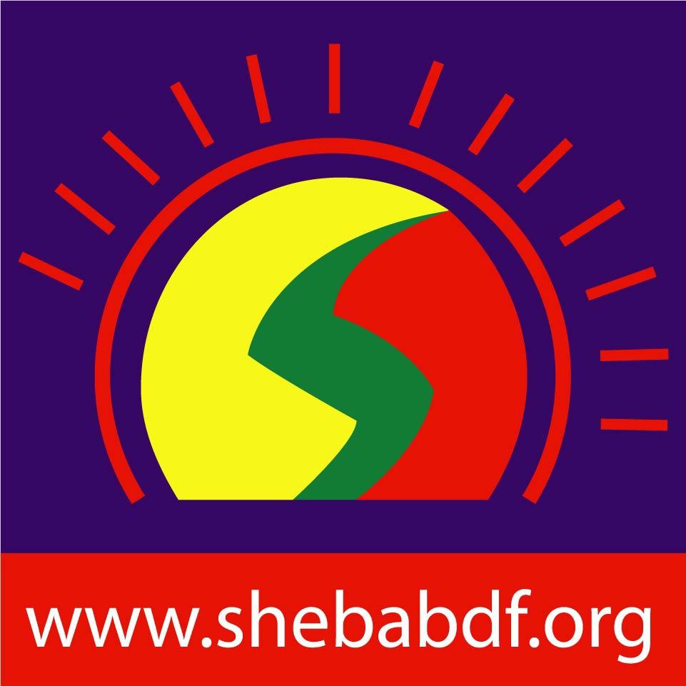 ৩ মাসে সড়ক দুর্ঘটনায় ২৩১ শিশু নিহত