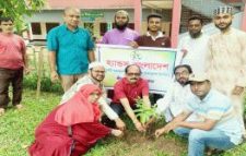 বিশ্ব পরিবেশ দিবসে শ্রীমঙ্গল ভিক্টোরিয়া উচ্চ বিদ্যালয়ে বৃক্ষরোপণ কর্মসূচি
