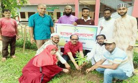 বিশ্ব পরিবেশ দিবসে শ্রীমঙ্গল ভিক্টোরিয়া উচ্চ বিদ্যালয়ে বৃক্ষরোপণ কর্মসূচি