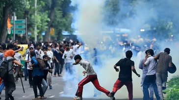 তেলাপোকাদের লড়াইয়ের পরিধি এখন অনেক বড়