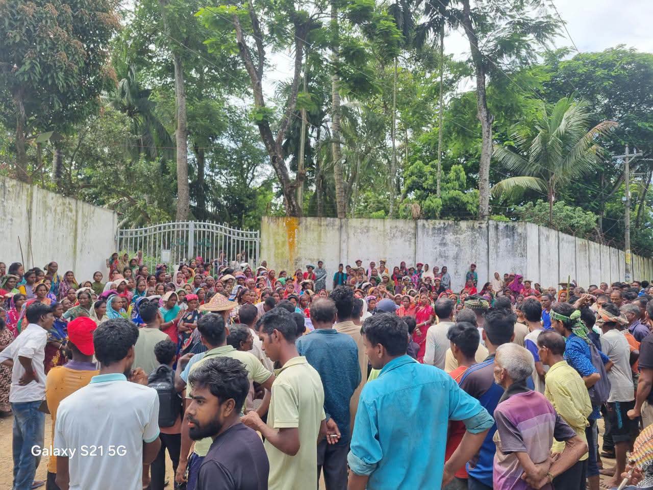 মারধরের প্রতিবাদে শ্রীমঙ্গলে চা শ্রমিকদের দুই ঘণ্টার কর্মবিরতি