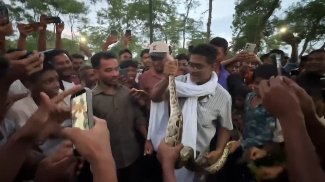 বিশ্ব সাপ দিবসে শ্রীমঙ্গলে দুই অজগর উদ্ধার