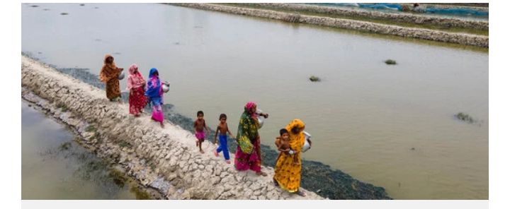 আর্থ জার্নালিজম নেটওয়ার্কের তিনদিনব্যাপী কর্মশালা ২৭-২৯ অক্টোবর, রেজিষ্ট্রেশন শুরু